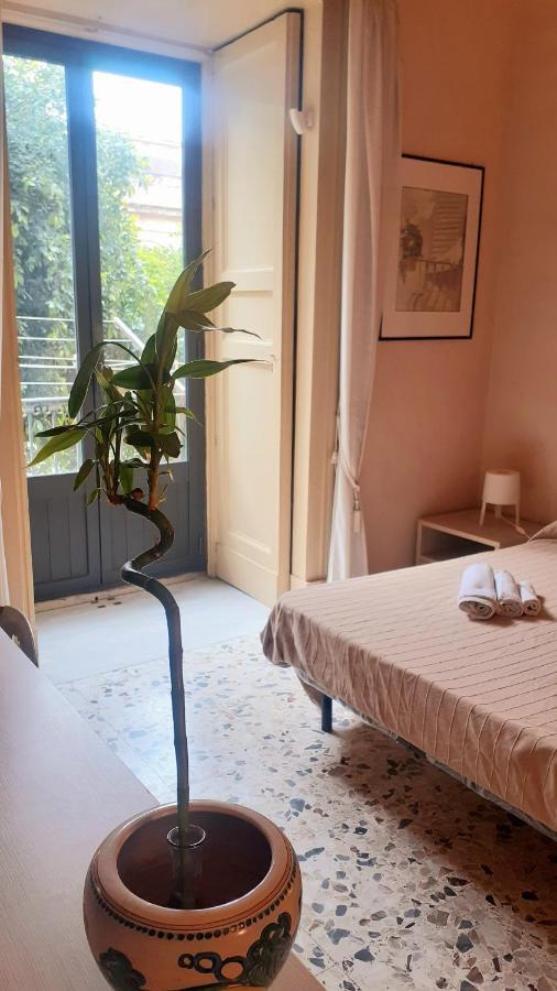 Bed And Books Isabella Bed and Breakfast Catania Eksteriør billede